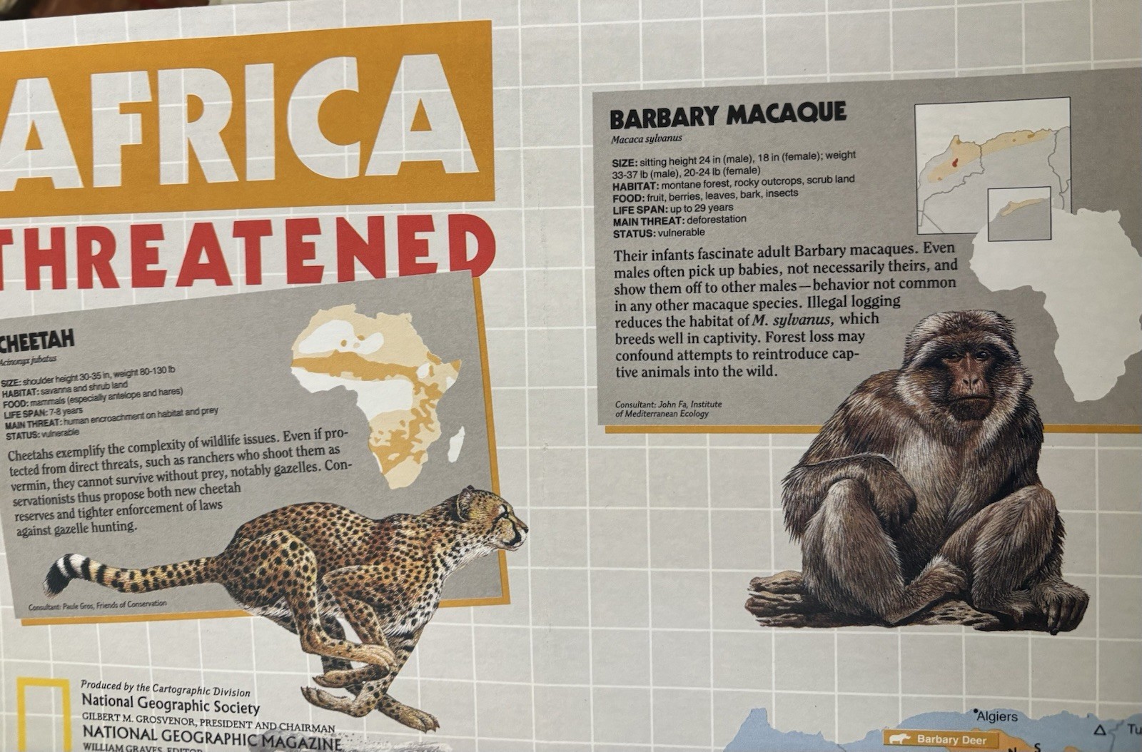 100 Miscellaneous Nat Geo Insert Maps 70’s – 90’s