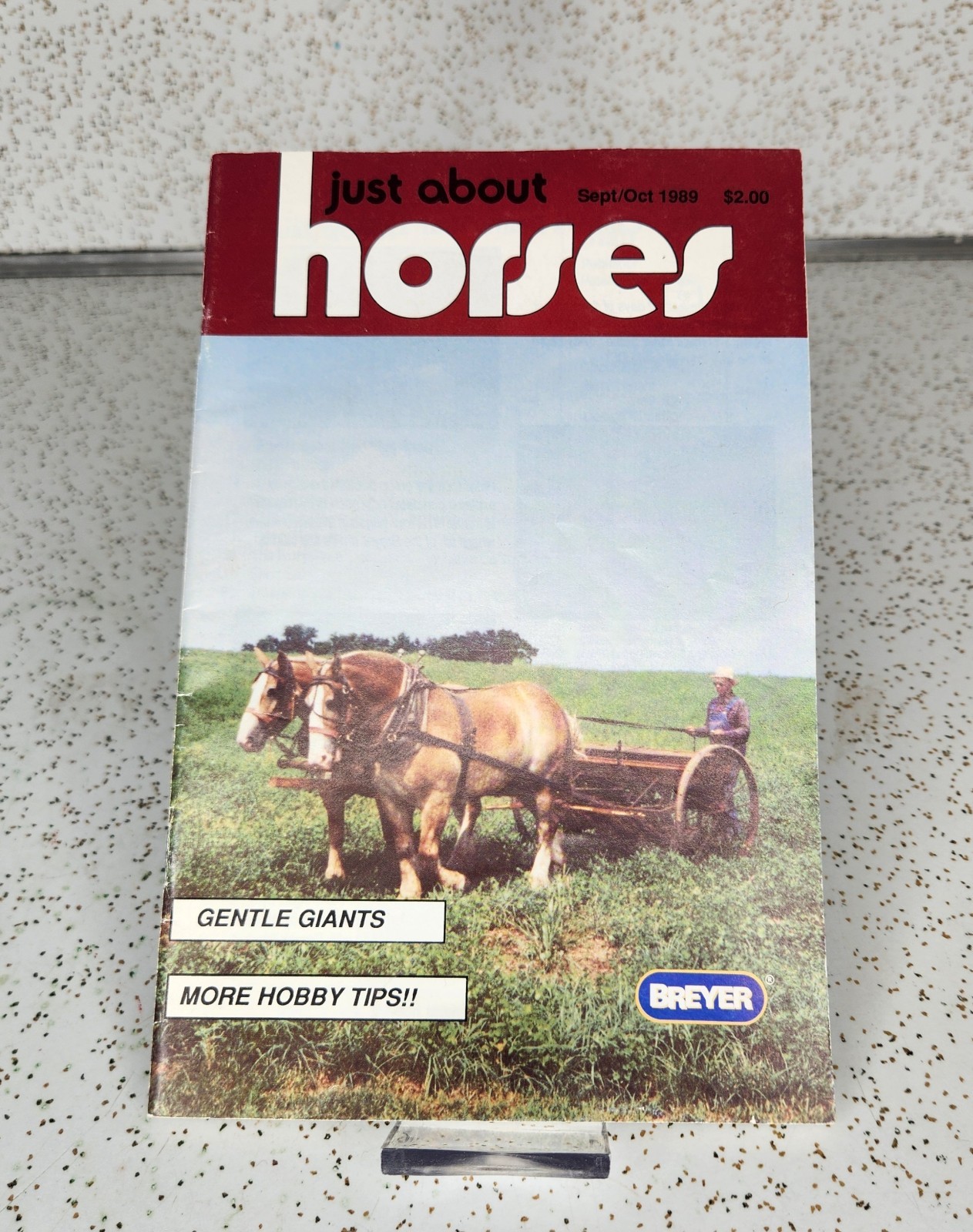 Breyer Just About Horses Magazine Sept/Oct 1989 #5 8 x 11 inches Nice! Vintage