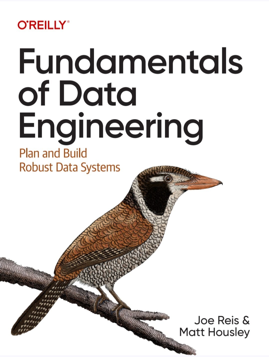 Fundamentals of Data Engineering: Plan and Build Robust Data Systems (Paperback)