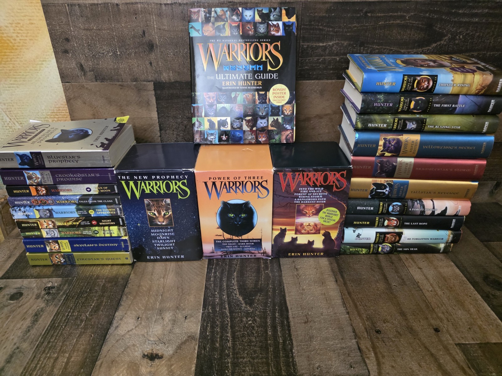 Lot 38 Erin Hunter WARRIORS books 3 Complete Sets 10 Hardbacks & 28 PBKs
