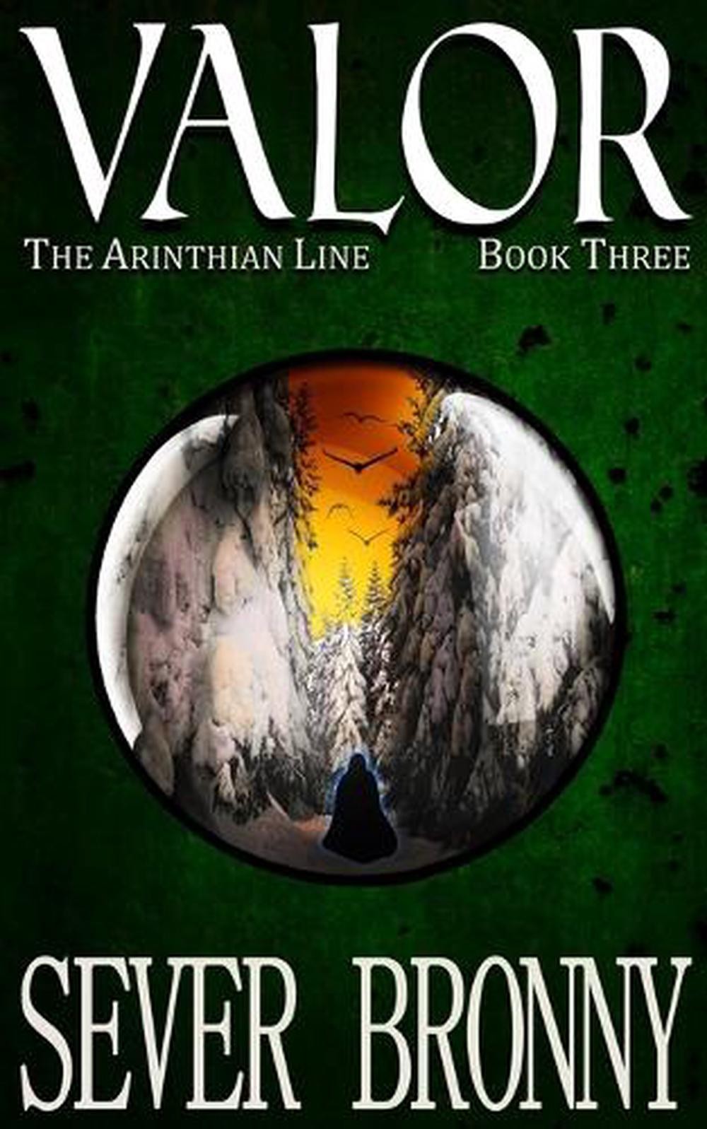 Valor by Sever Bronny Paperback Book