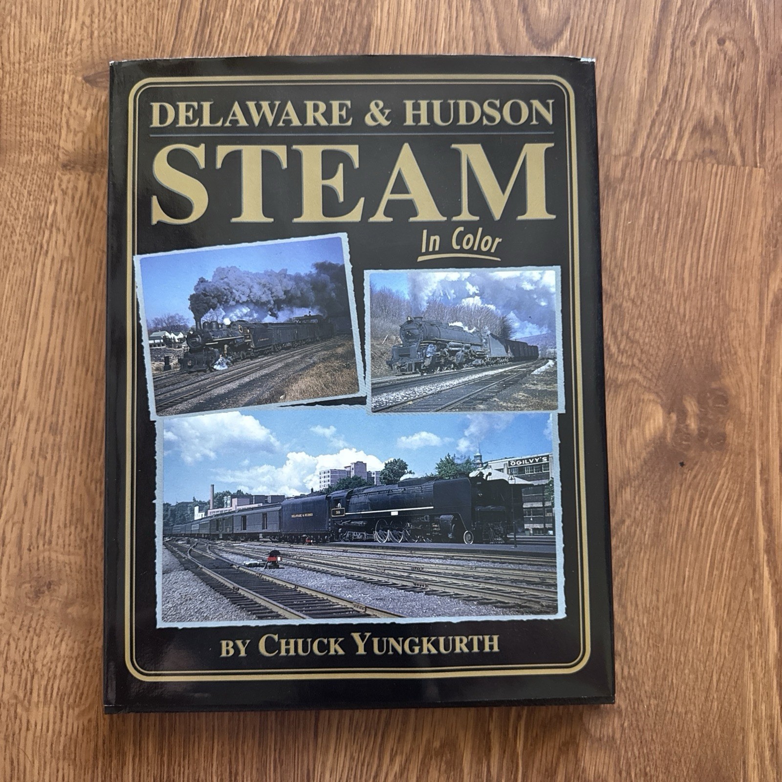 Delaware & Hudson Steam in Color Book / Morning Sun / Chuck Yungkurth