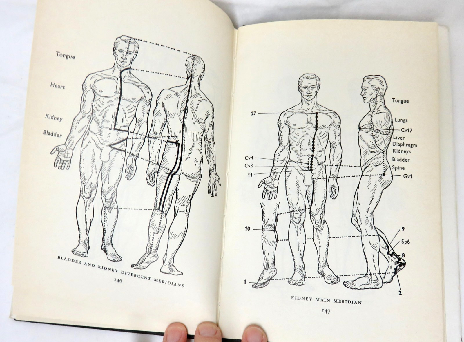 The Meridians of Acupuncture – Felix Mann – 1974 Hardcover, 174 pages