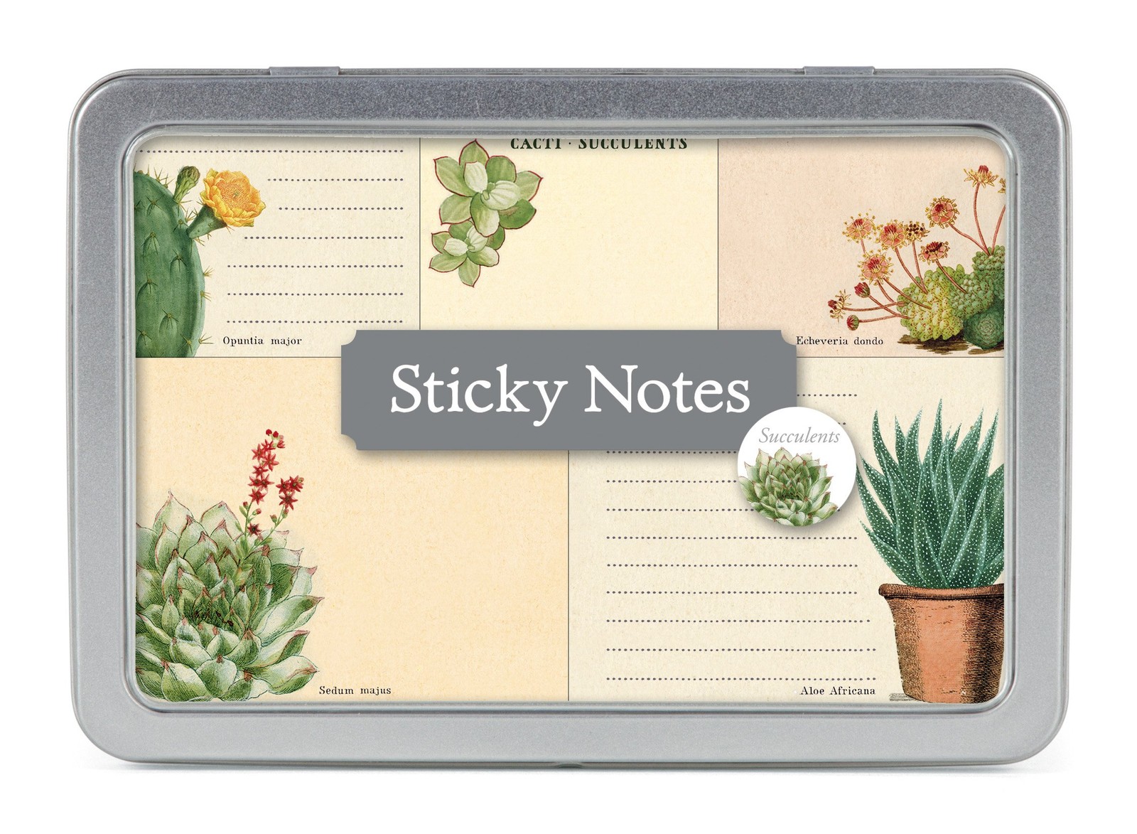 Cavallini Papers STK/SUC 6.5 x 4.5 inches, Cacti & Succulents