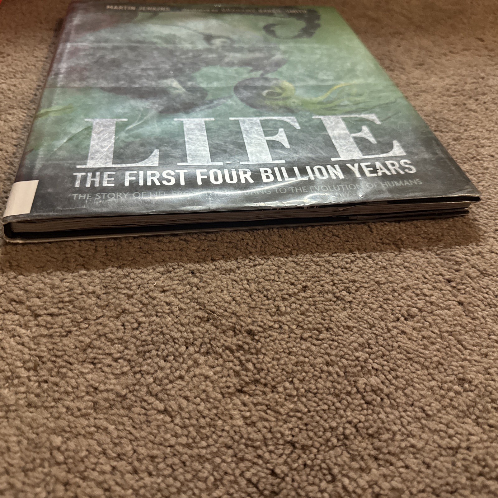 Life: The First Four Billion Years: The Story of Life from the Big Bang to the,