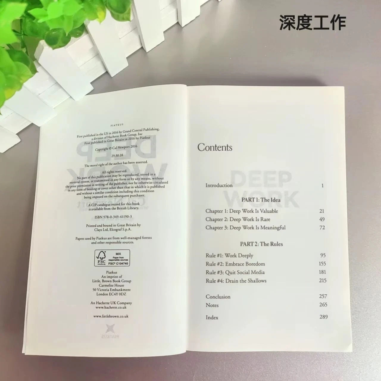Deep Work English Book By Cal Newport Rules for Focused Success In A Distracted*