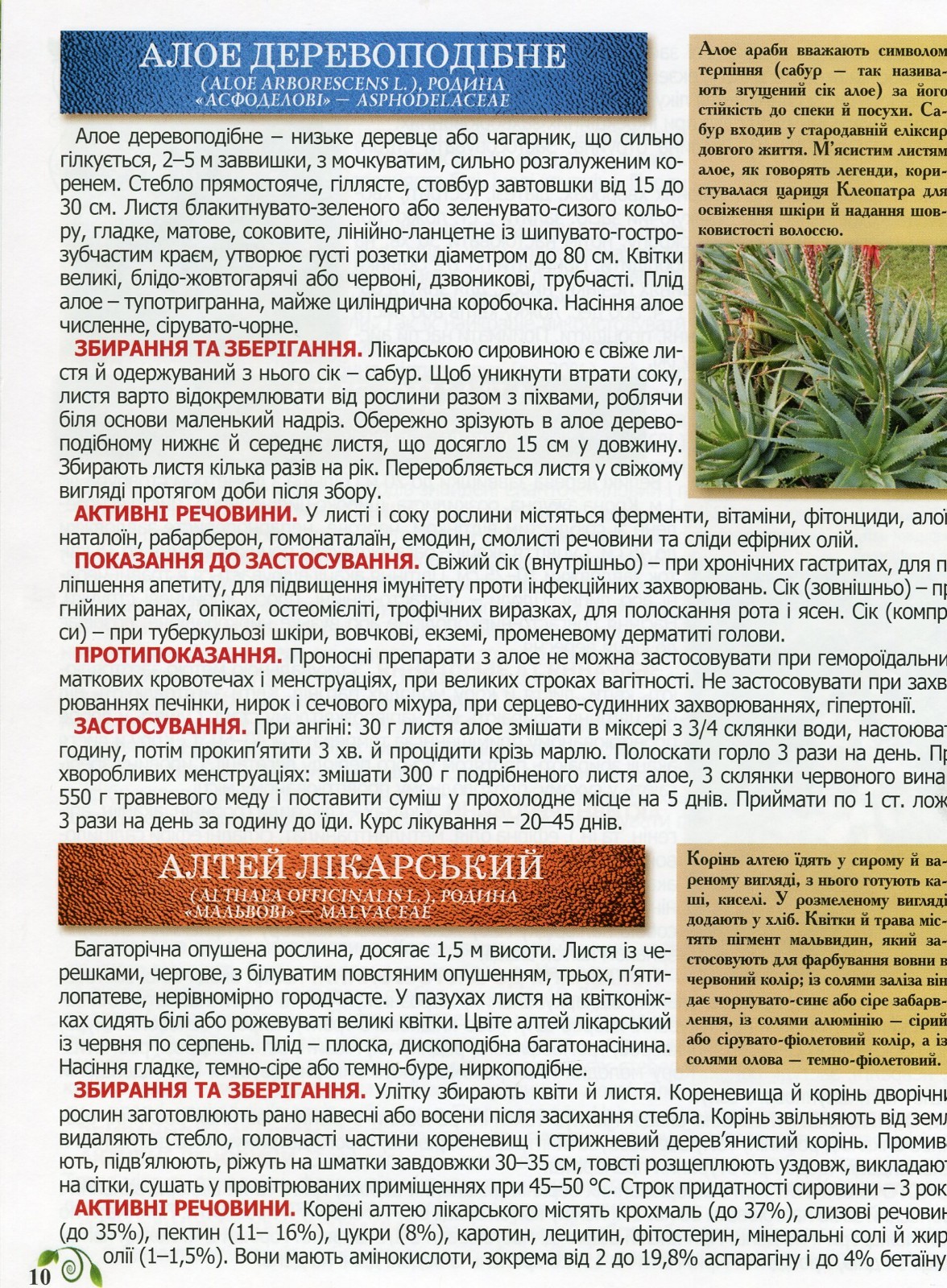 Book In Ukrainian Повний атлас лікарських рослин Author not specified Complete