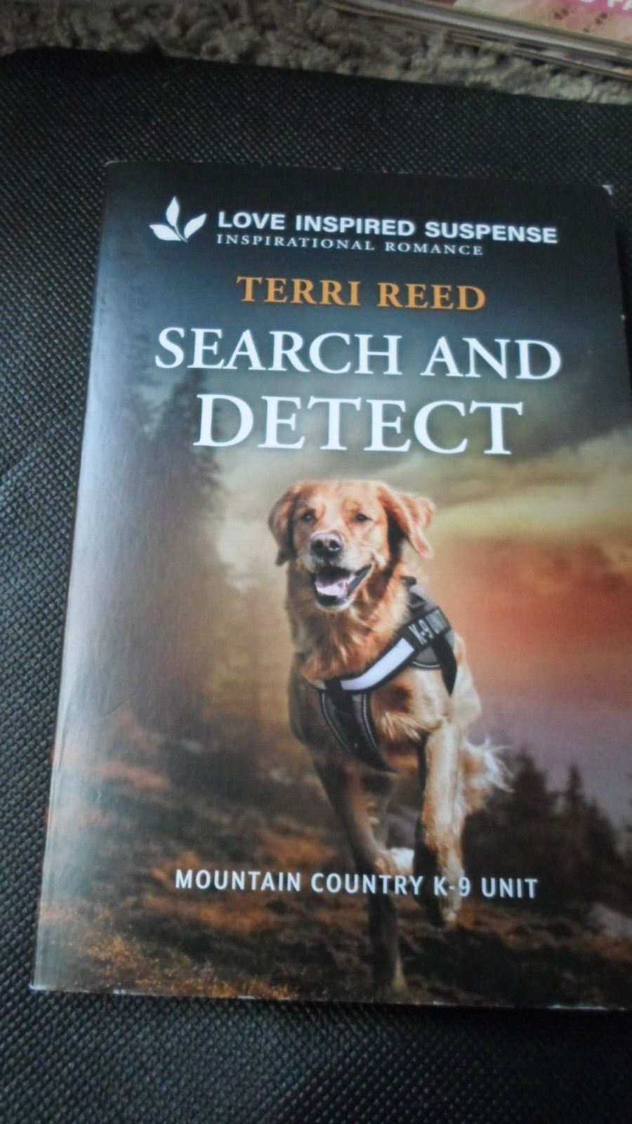 Romance novelSearch and Detect-Love Inspired- Terri Reed-2024-Lituania205 pages