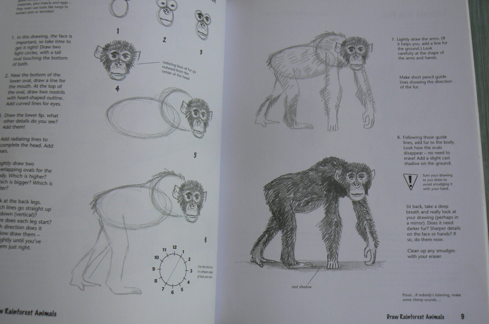 DRAW Rainforest Animals, Doug DuBosque, NEW PB 31773 Art Instruction,Drawing