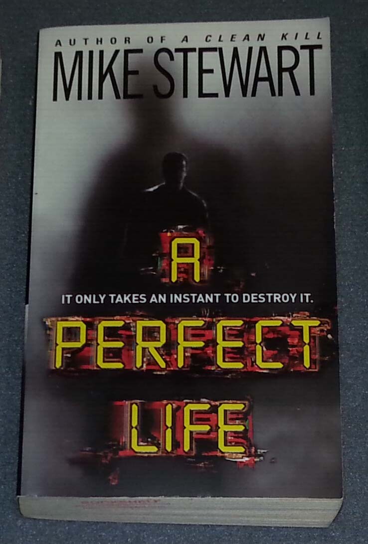 A Perfect Life by Mike Stewart (PB)