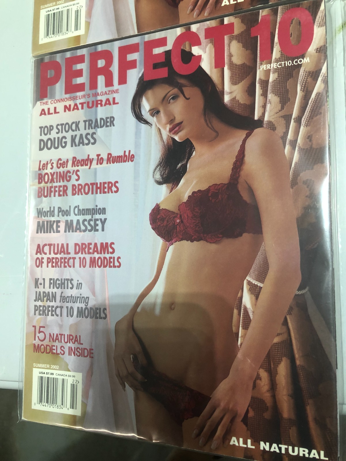 Collectable Perfect 10 Magazines in Near Mint Condition