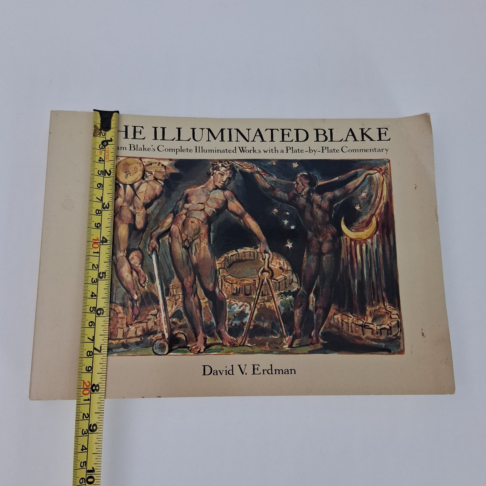 The Illuminated Blake: William Blake’s Complete Illumi… by Blake, William Book
