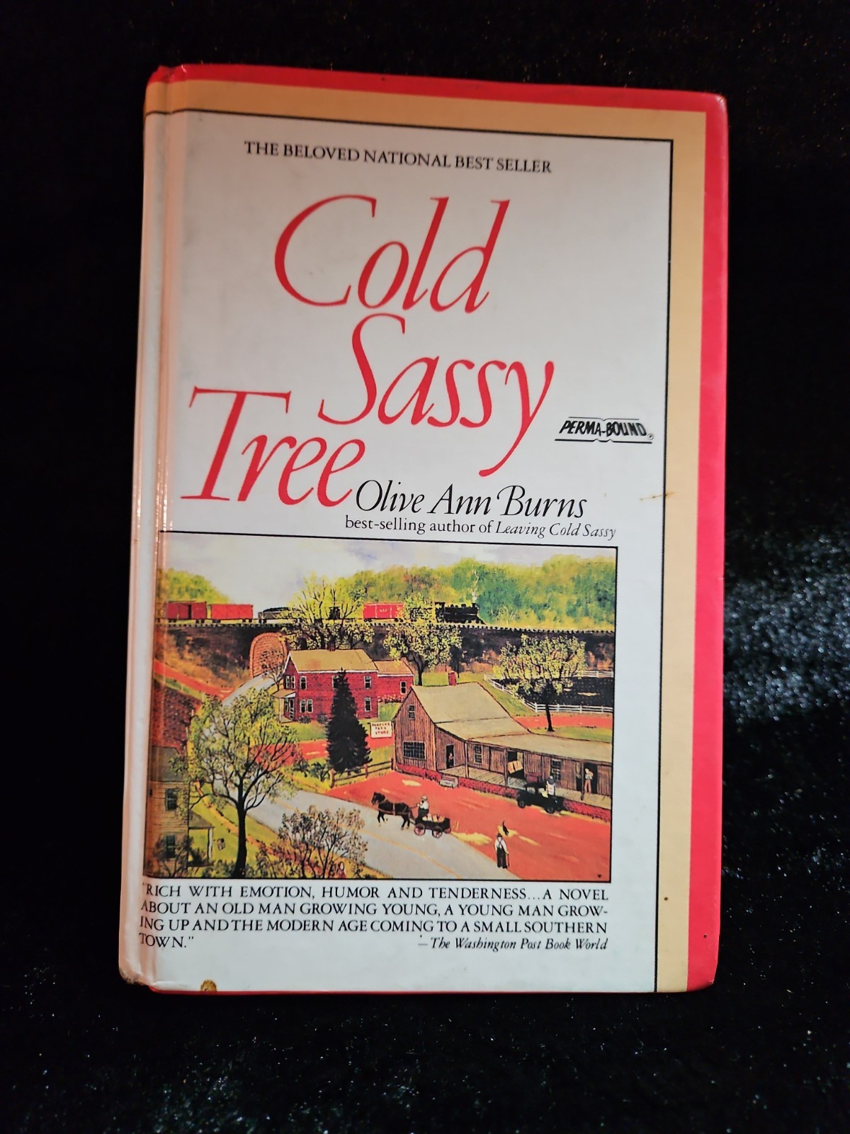 Vintage 1986 “Cold Sassy Tree” by Olive Ann Burns National Best Seller Hardback