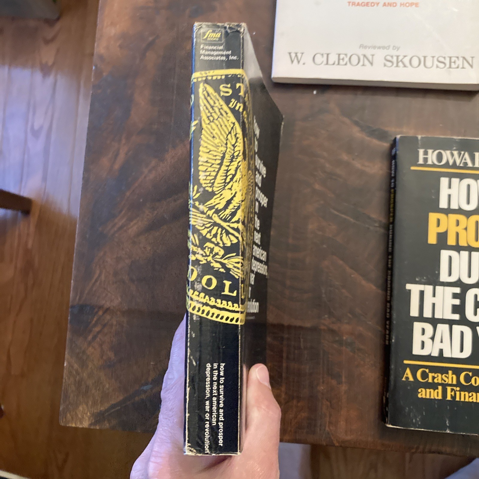 How to Survive and Prosper in the Next American Depression, War or Revolution