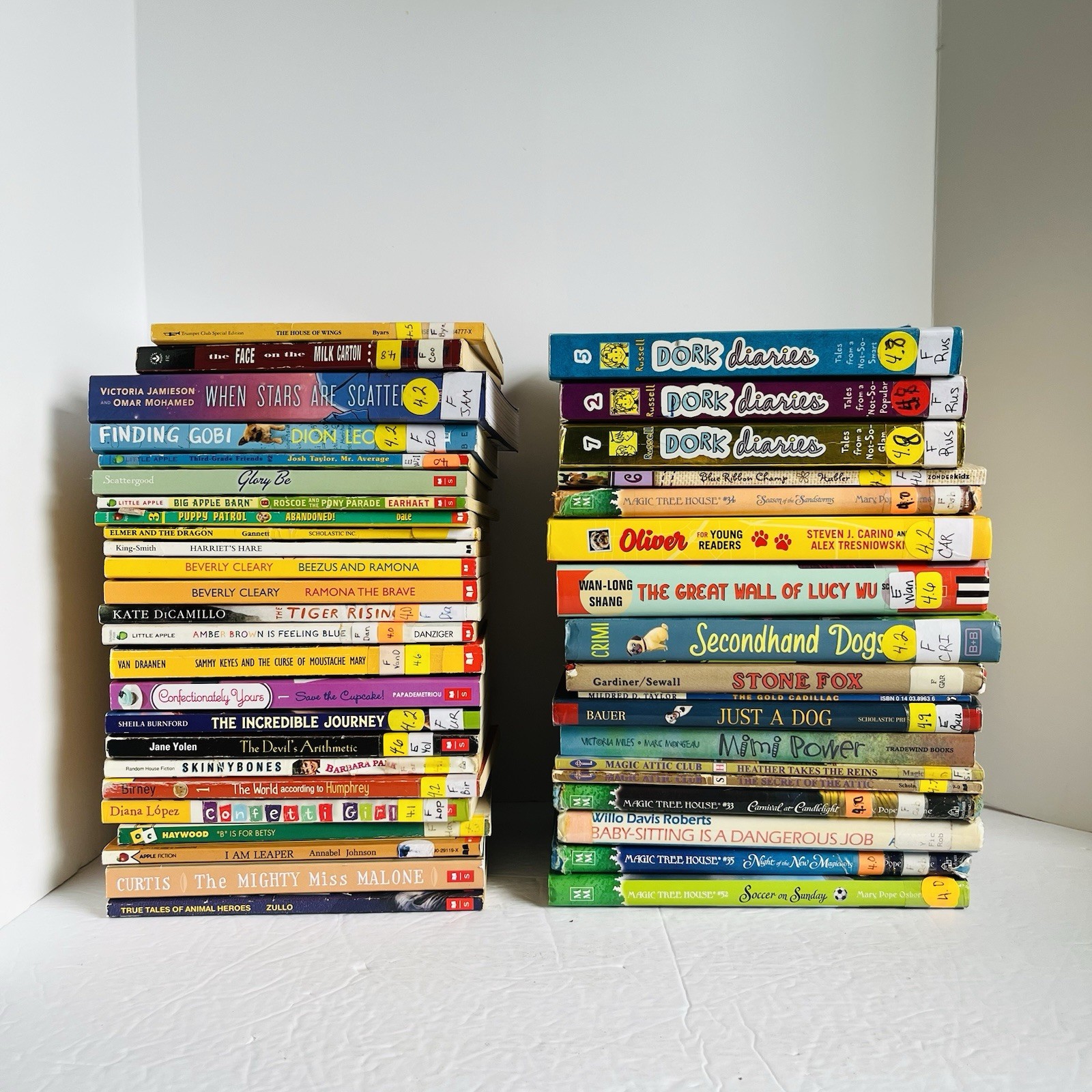 Lot of 10 Random 4th grade Children’s Kids Chapter Book Some series Elementary