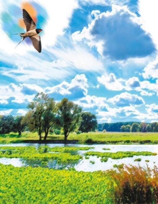 Book In Ukrainian Річки й озера Author not specified Rivers And Lakes