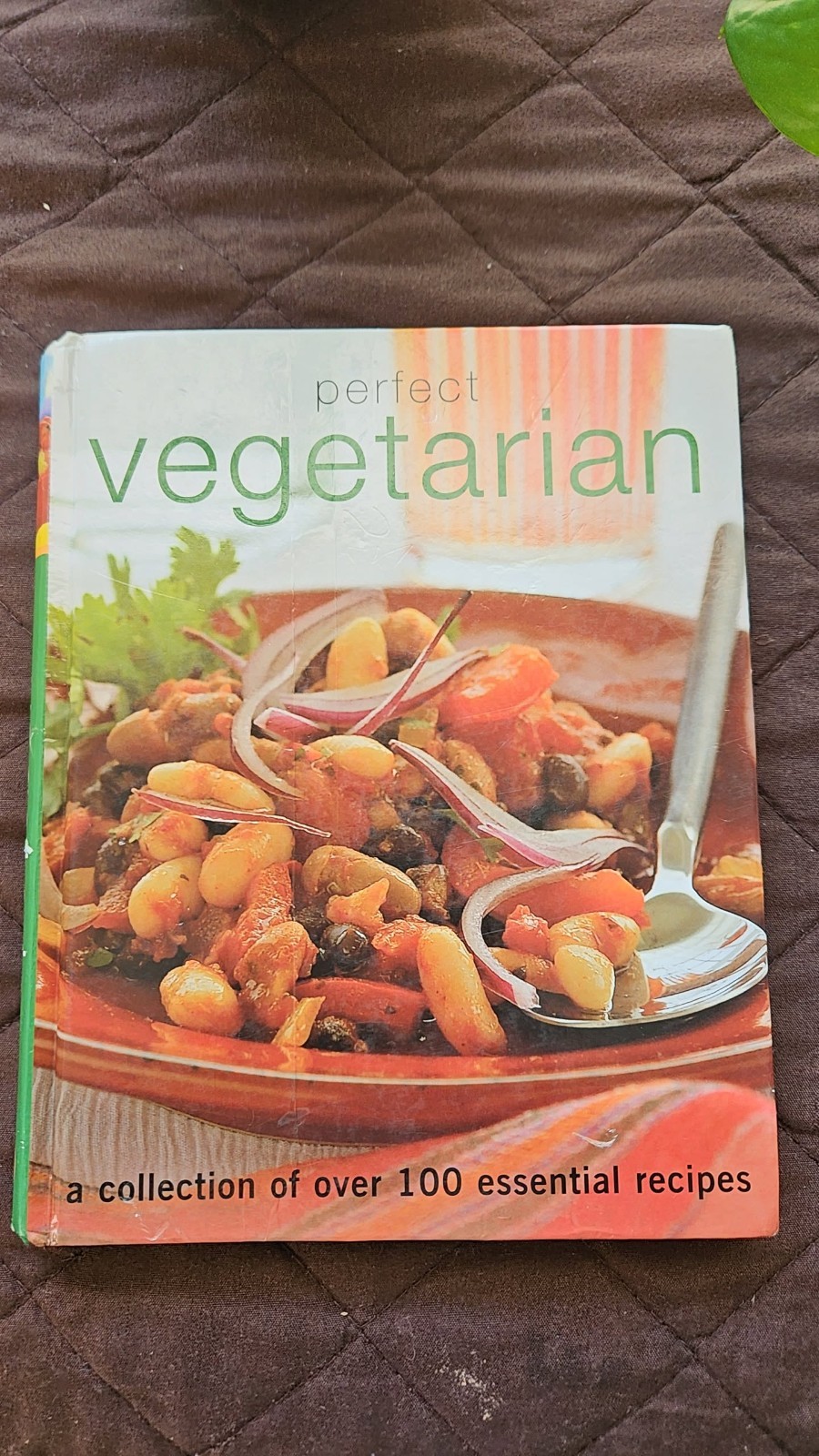 Perfect Vegetarian Hardcover Illustrated Cookbook 240 Pages Parragon