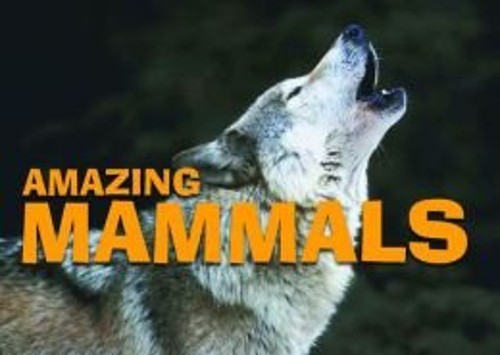 AMAZING MAMMALS AMBER BOOKS AMAZING MAMMALS AMBER BOOKS
