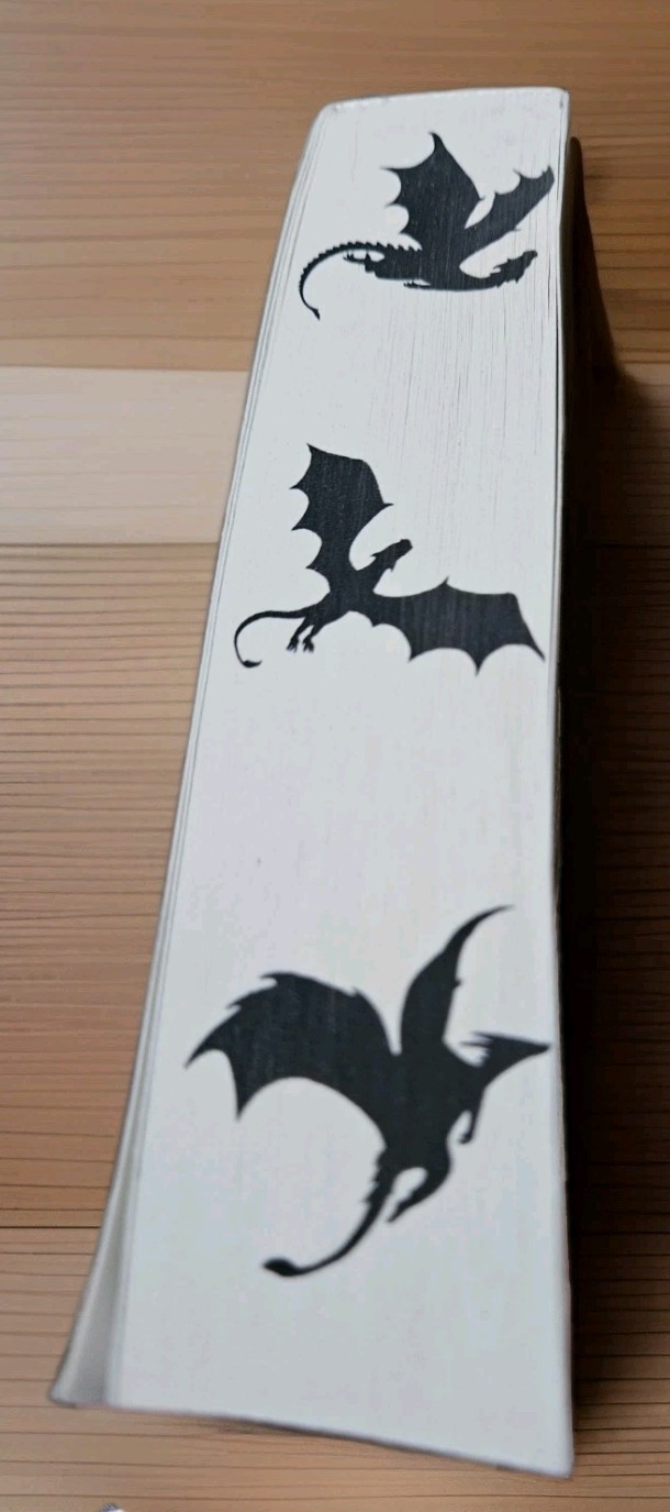 ? Fourth Wing 1st Printing Limited Edition Paperback Full Sprayed Dragon Edges