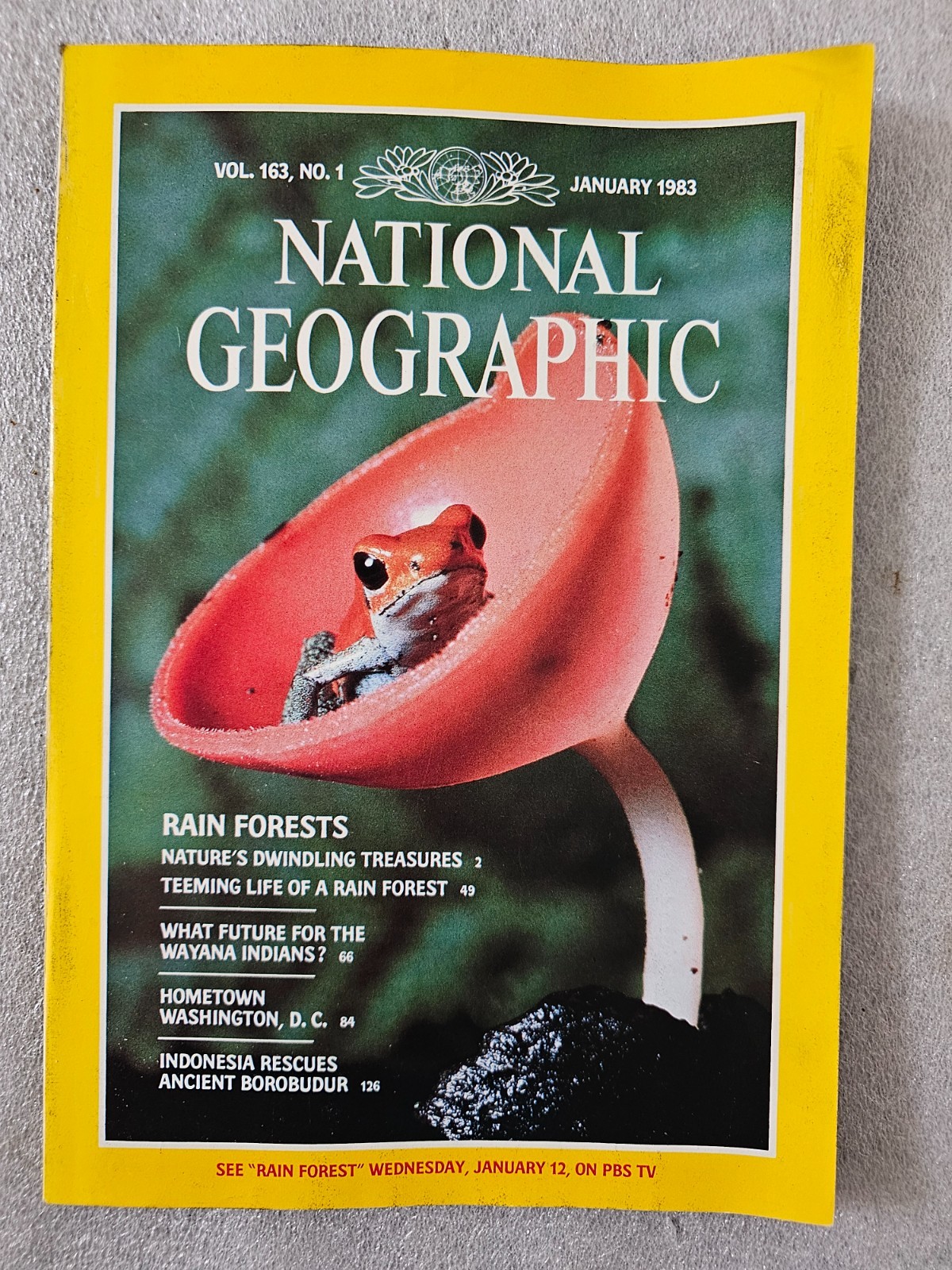 Vintage National Geographic Magazines from the 1980’s $4.75 each. Quantity Disc.