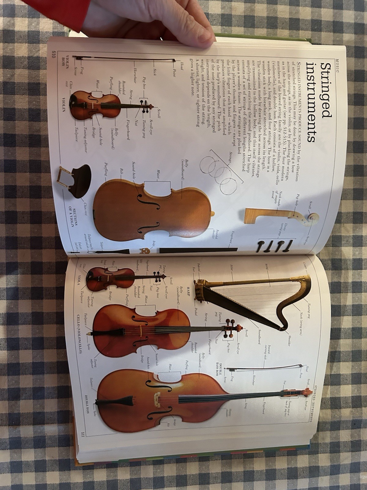 DK Visual Dictionary Revised and Updated Hardcover Reference Book