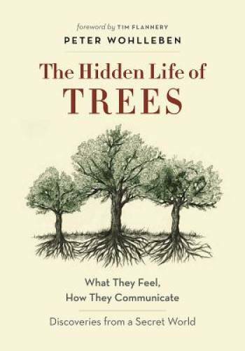 The Hidden Life of Trees: What They Feel, How They CommunicateÂ?Discoveri – GOOD