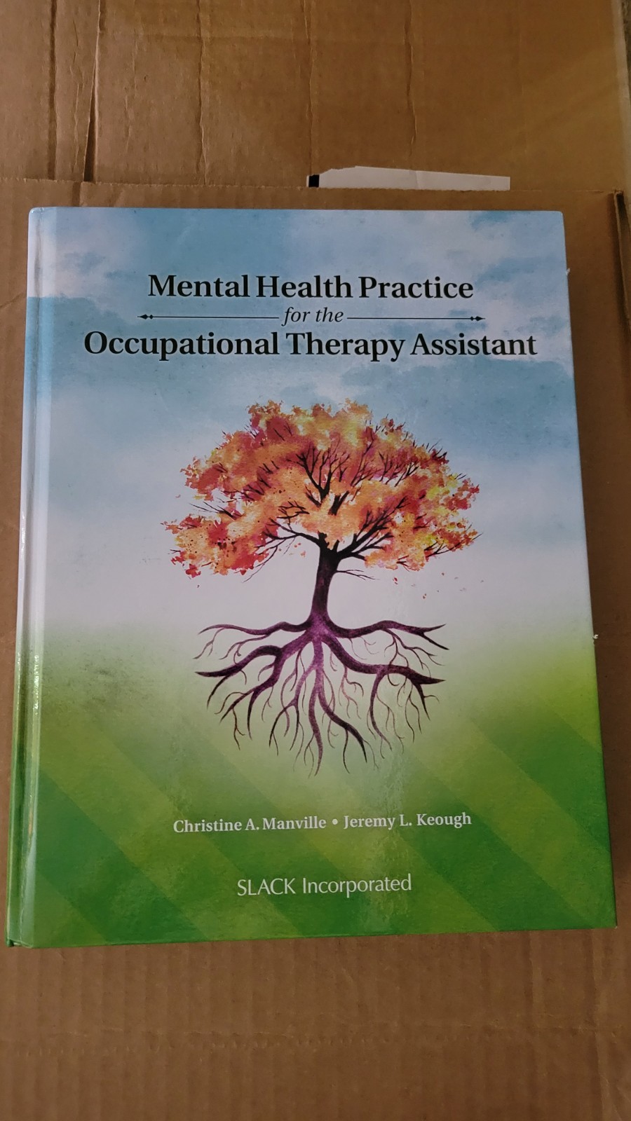 Mental Health Practice for the Occupational Therapy Assistant by Manville, Chri