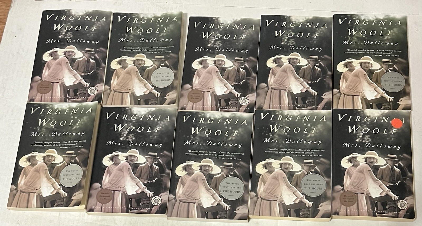 Mrs. Dalloway by Virginia Woolf 10 Paperback Book Classroom Guided Reading set