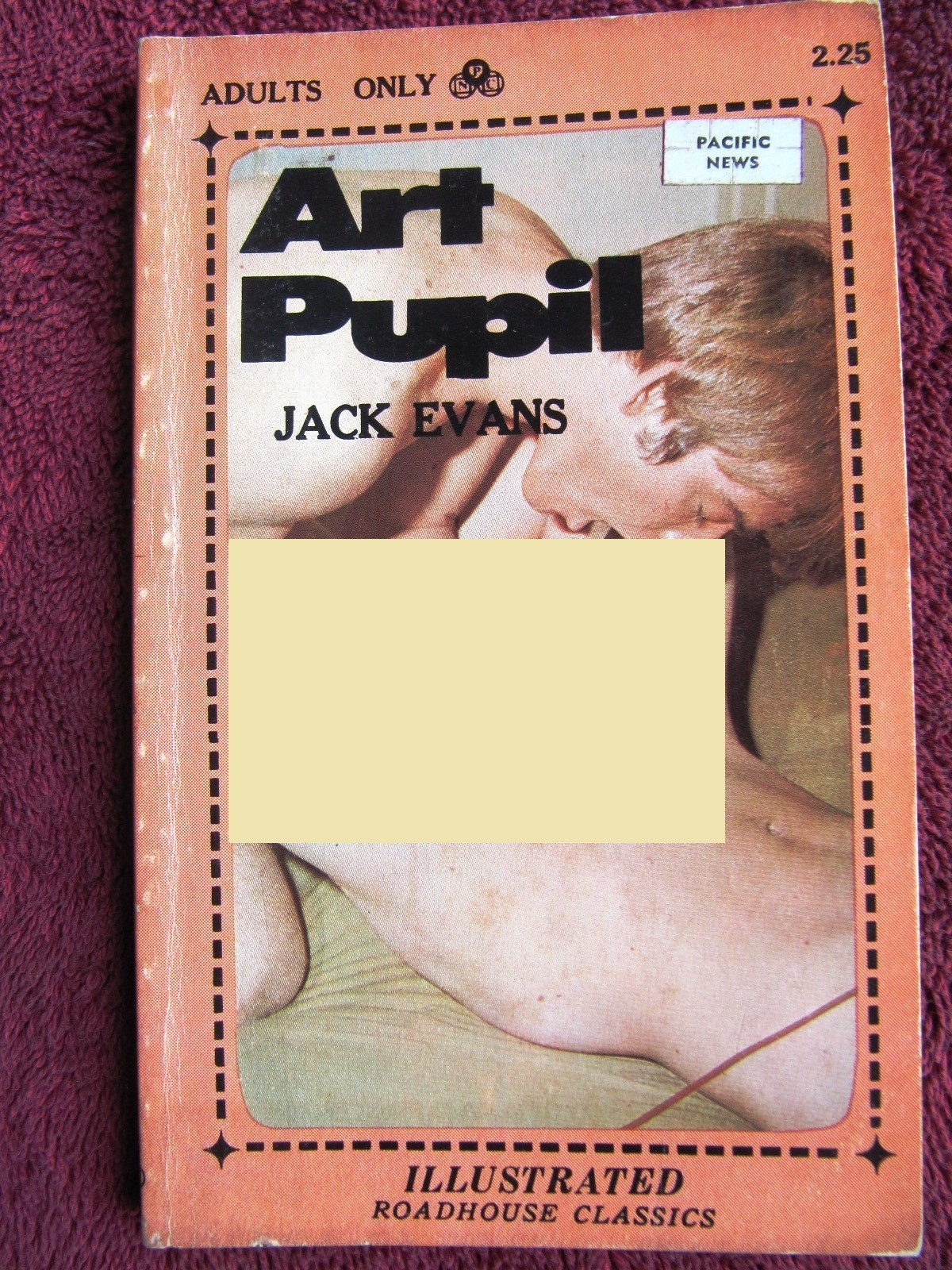 Illustrated 1971 GAY PULP Jack Evans ART PUPIL Roadhouse Classics Guild Press