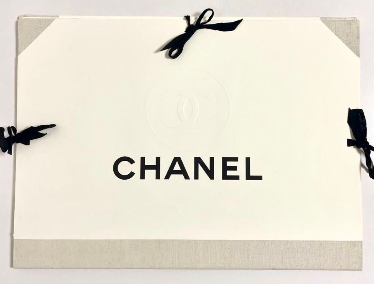 CHANEL Cruise Collection 1996-1997 Photocards Karl Lagerfeld from Japan Rare