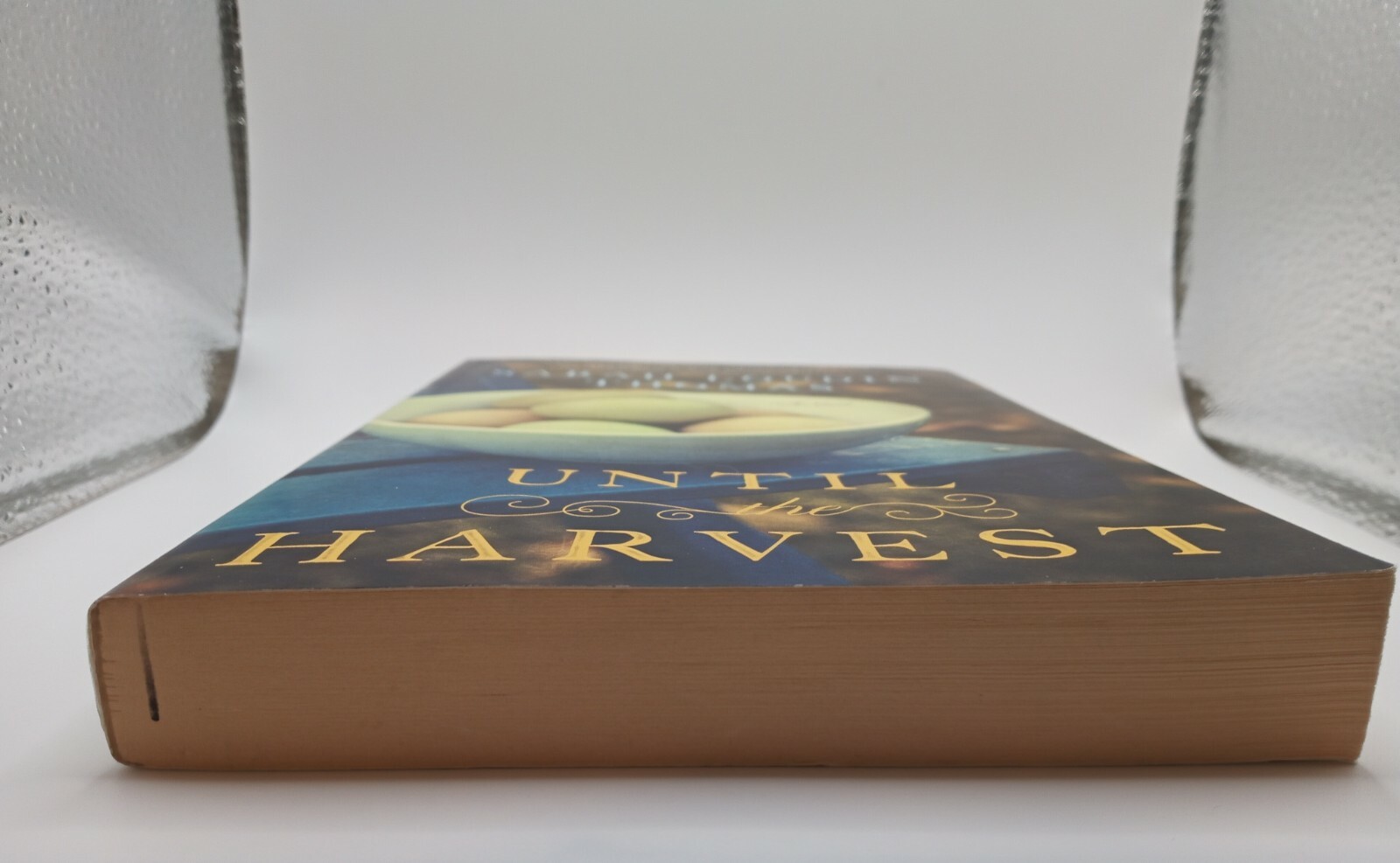 Until the Harvest by Sarah Loudin Thomas (2015, Paperback) 301 Pages