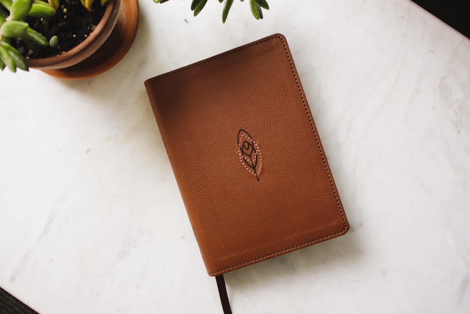 NRSVue, Holy Bible, Compact, Leathersoft, Brown, Comfort Print