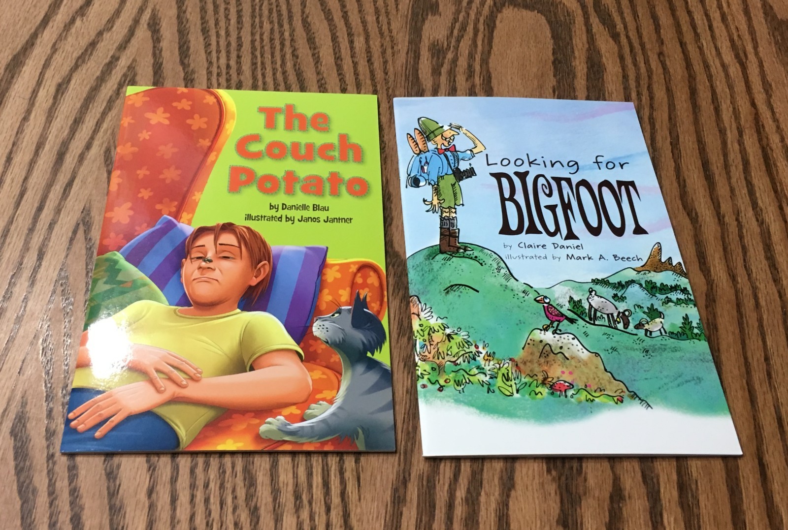 FOUNTAS & PINNELL LEVELED LITERACY INTERVENTION 12 COLOR READERS / RED LEVEL K