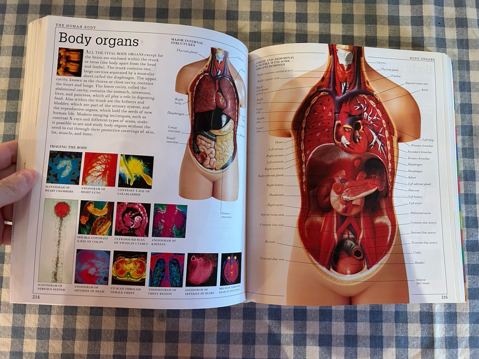 DK Visual Dictionary Revised and Updated Hardcover Reference Book