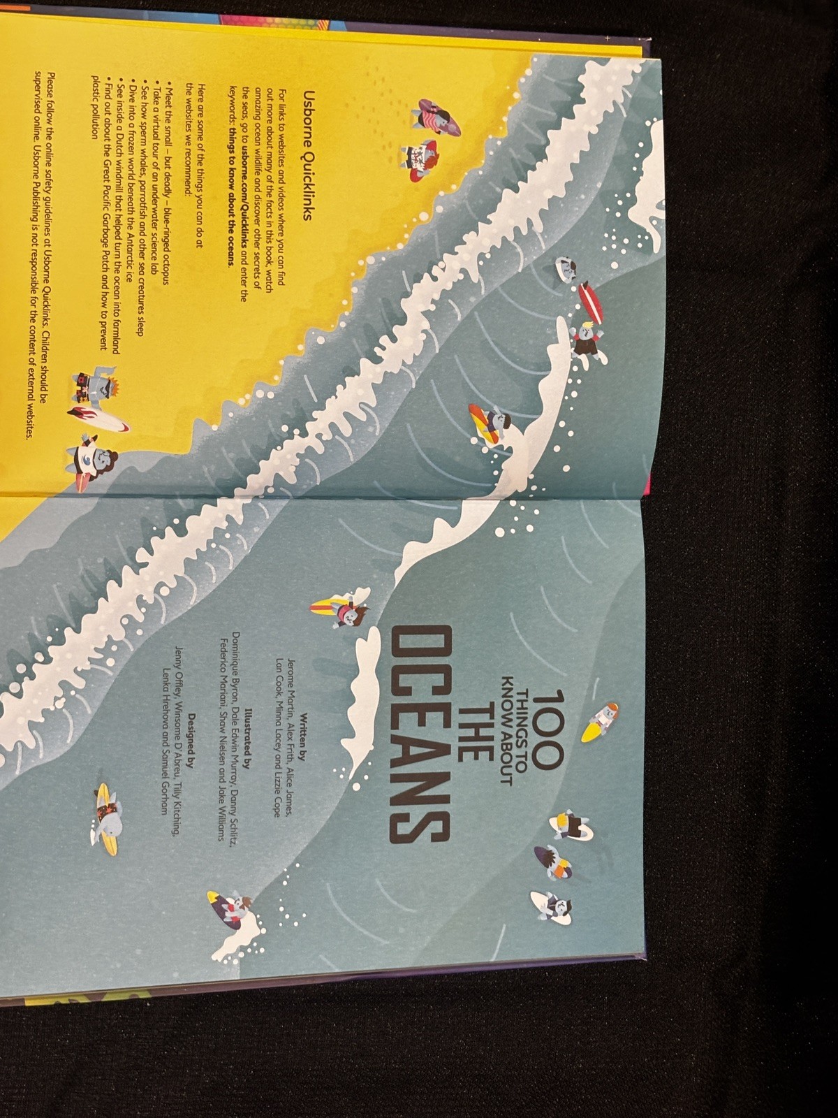 USBORNE 100 Things to Know About the Oceans by Jerome Martin Homeschool Science