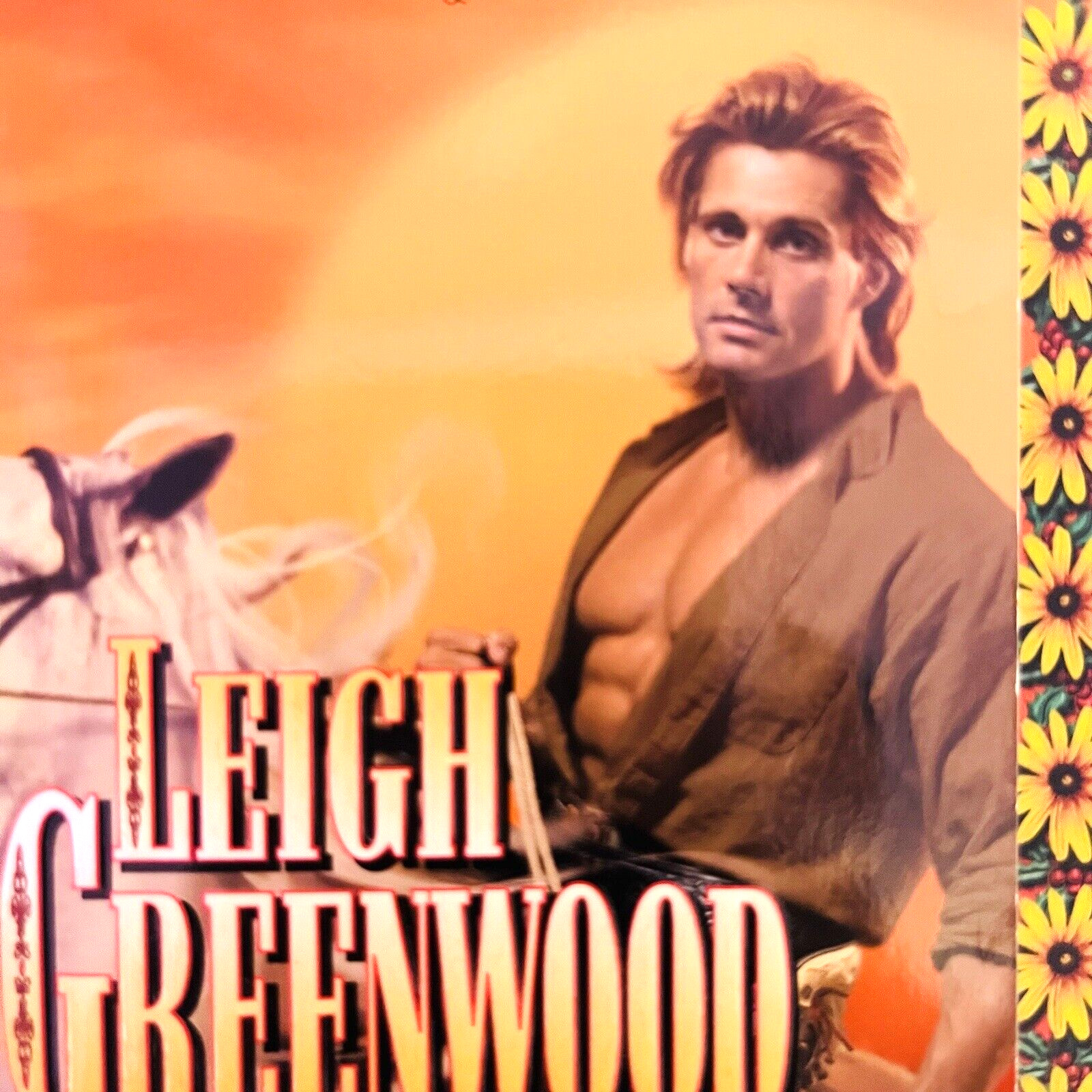The Cowboys Series Mat Jake Mix Lot of 5 Books Softcover by Leigh Greenwood