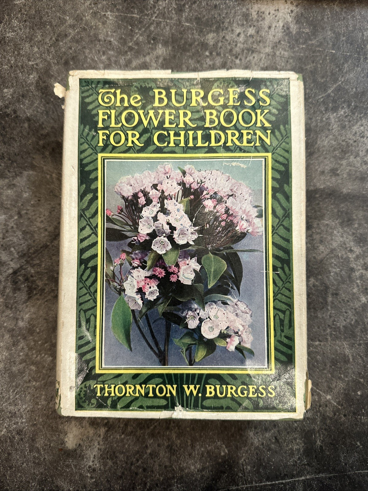 The Burgess Flower Book For Children Thornton Burgess 1923 1st Edition Color