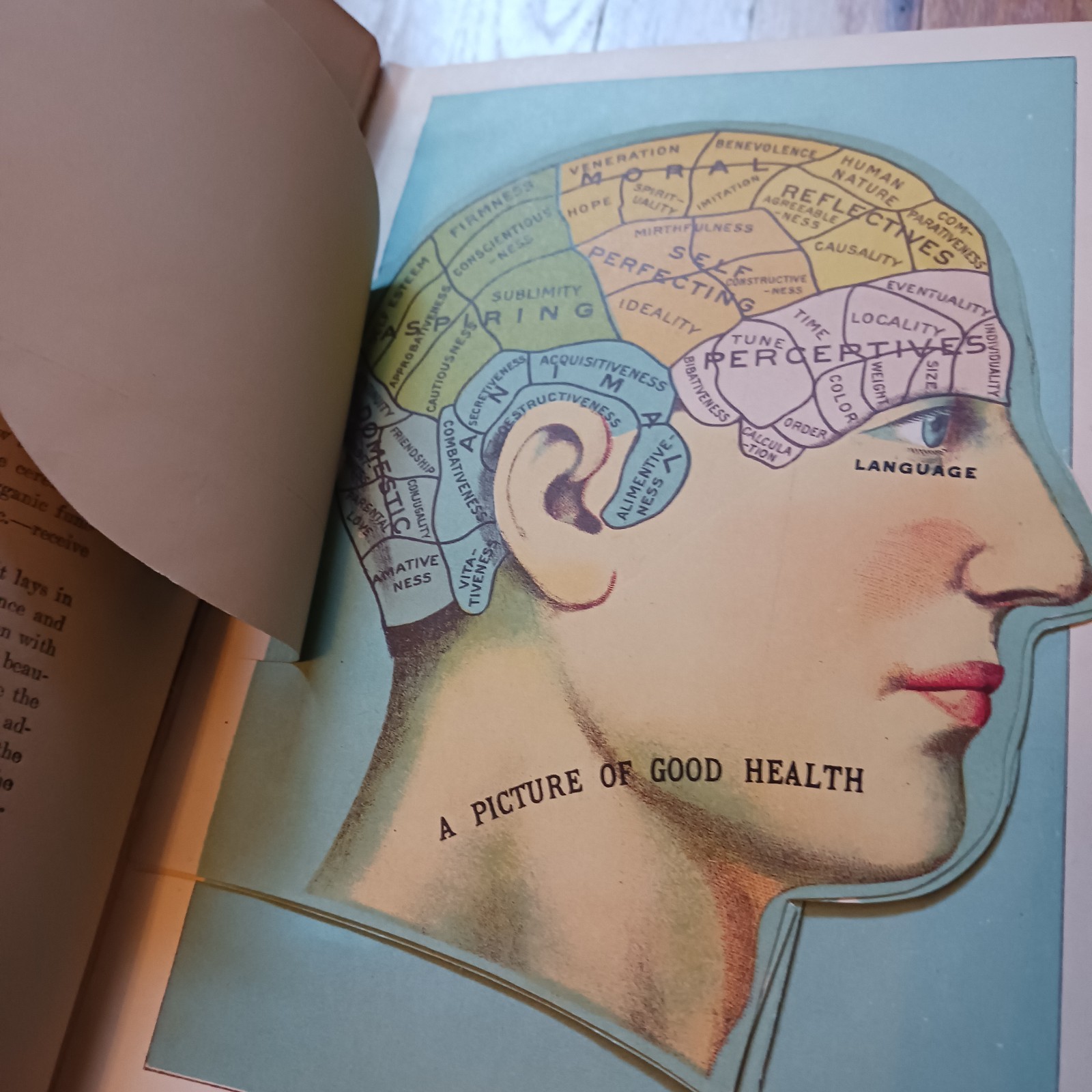 Antique Library of Health Medical Book, 1925 with Color Plates, Some Interactive