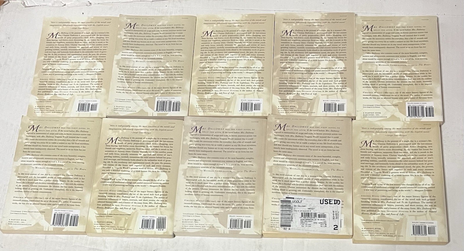 Mrs. Dalloway by Virginia Woolf 10 Paperback Book Classroom Guided Reading set