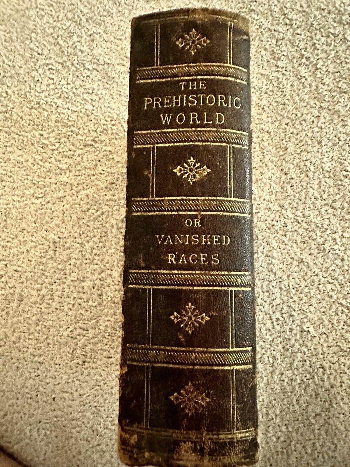 1885, The Prehistoric World: Or, Vanished Races, EA Allen, Profusely Illustrated