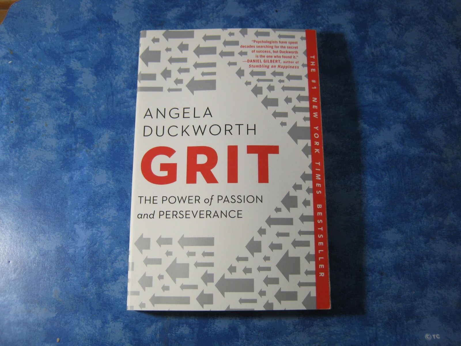 GRIT The Power or Passion and Perseverance ANGELA DUCKWORTH SC 2016 XLNT