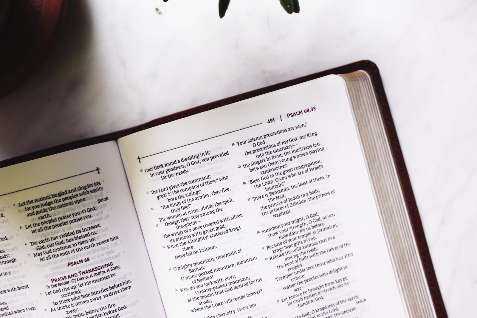 NRSVue, Holy Bible, Compact, Leathersoft, Brown, Comfort Print