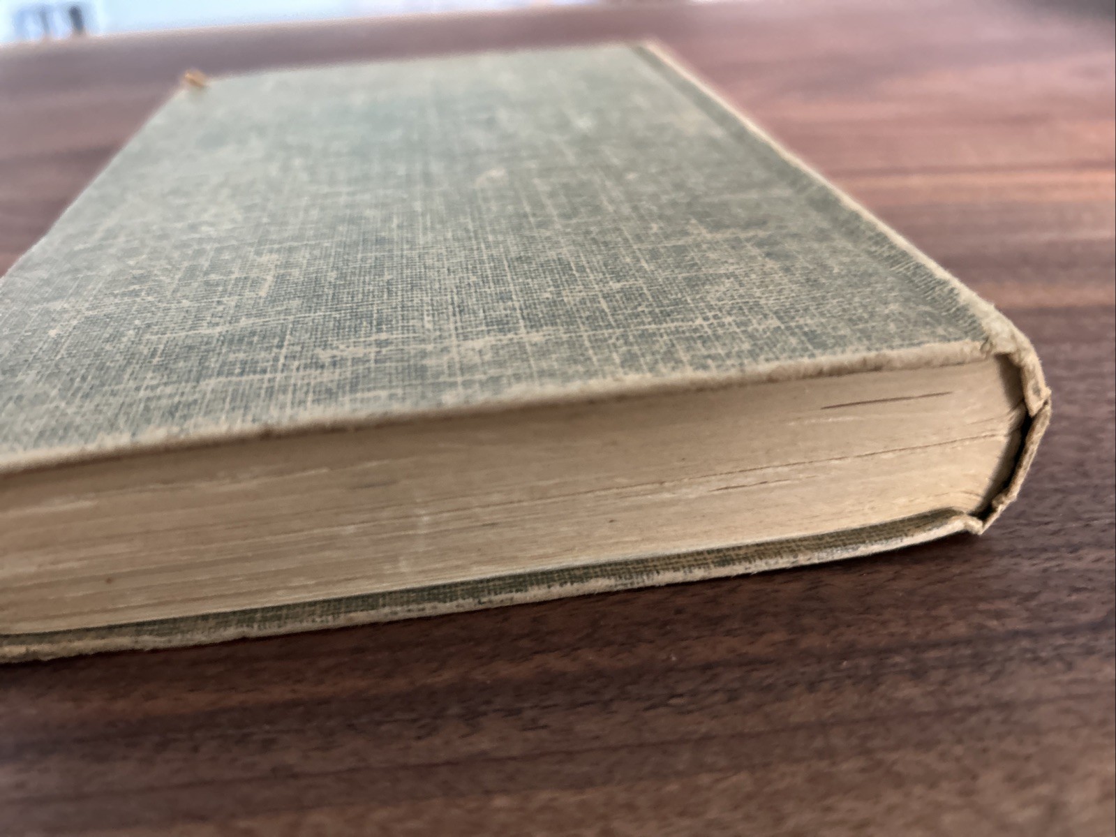 Bambi by Felix Salten w/ Kurt Wiese illustrations c. 1929 Thrushwood Book HC