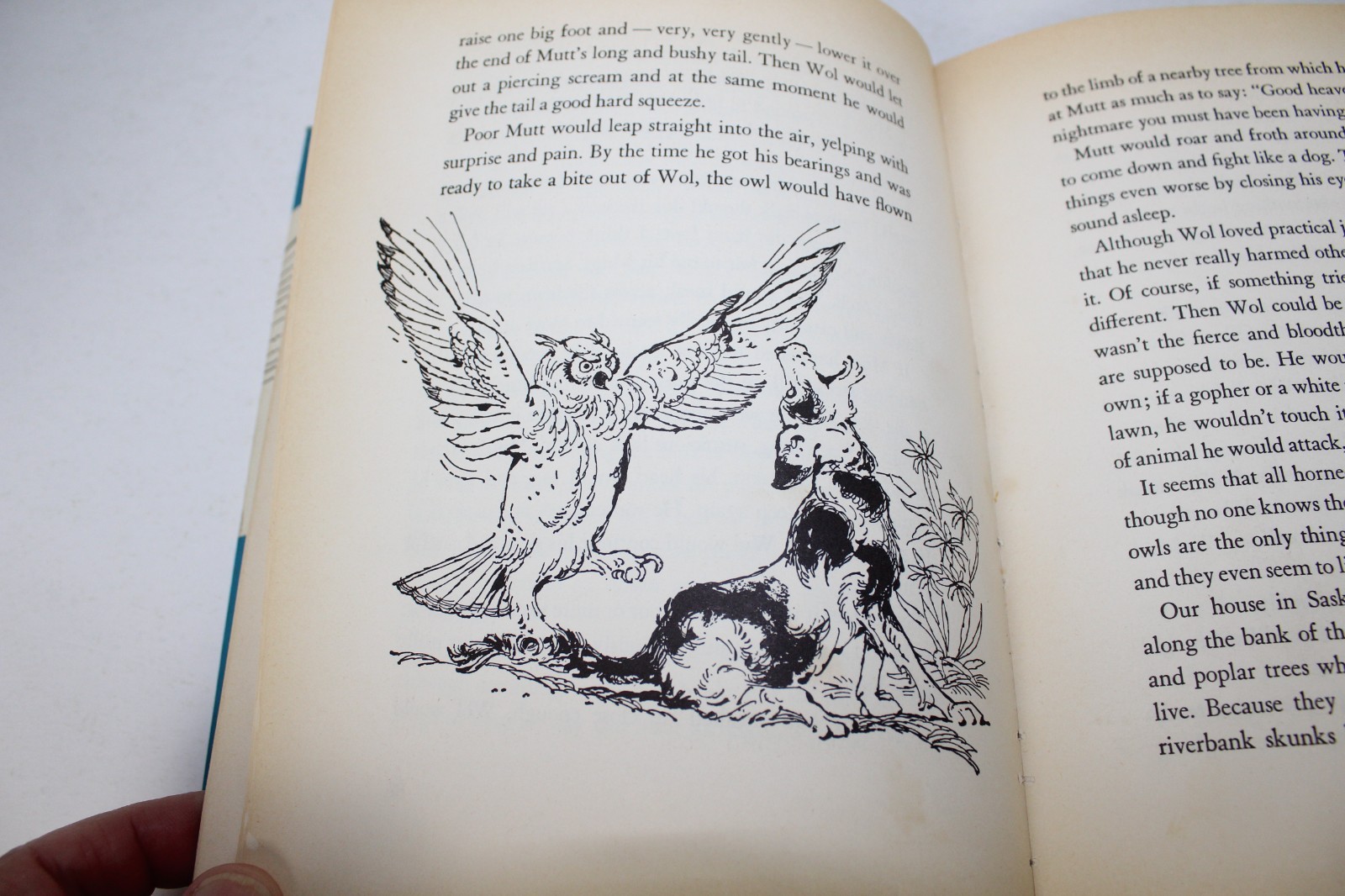Owls in the Family by Farley Mowat – Copyright 1961, HC, Weekly Reader Edition