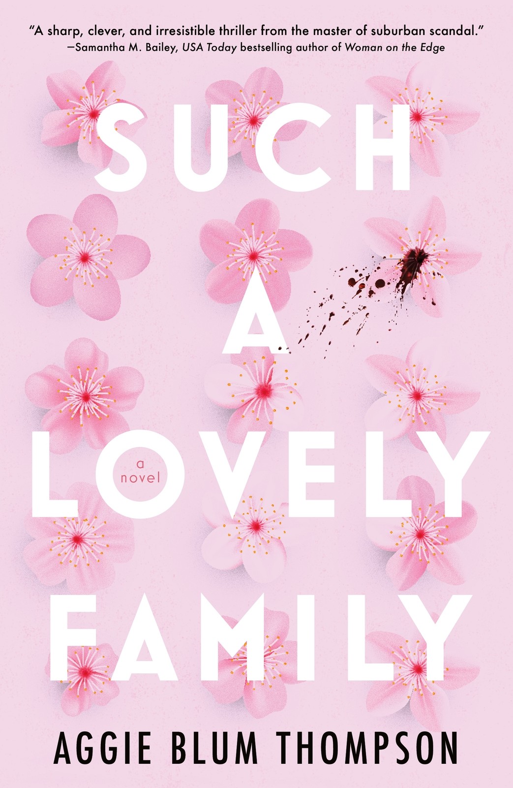 Such a Lovely Family by Thompson, Aggie Blum [Paperback]