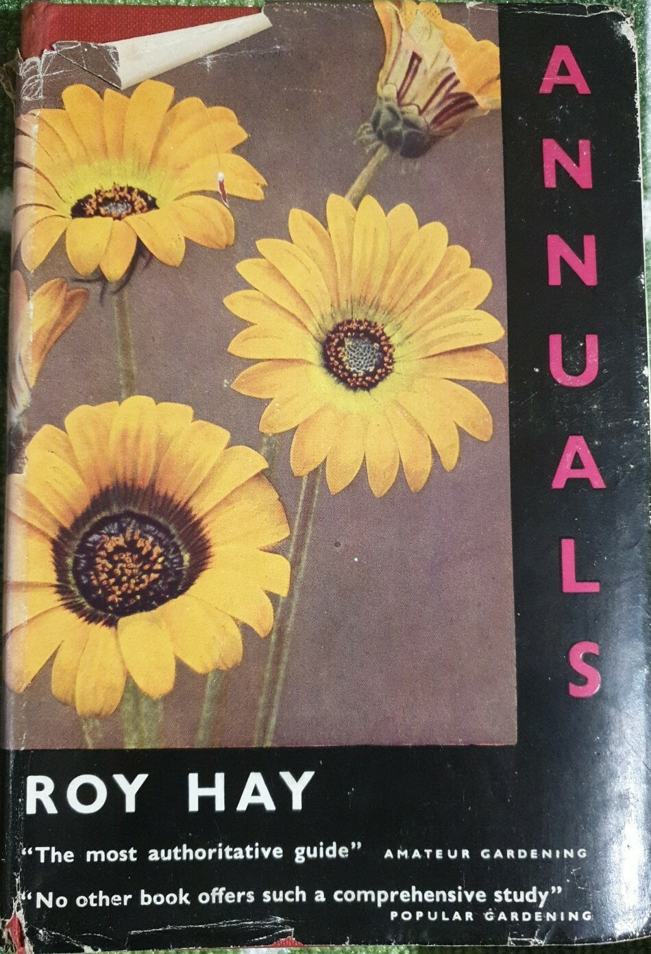 Annuals By Roy Hay 1955 HB Amateur Gardening