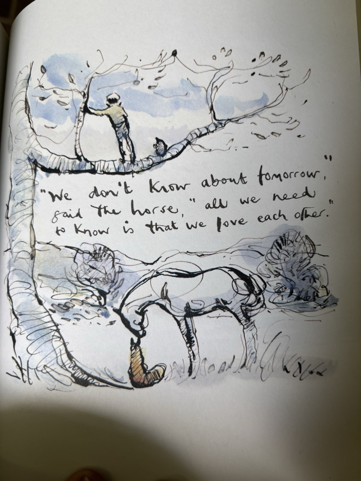 HarperOne The Boy, the Mole, the Fox and the Horse by Charlie Mackesy (Hardcove…