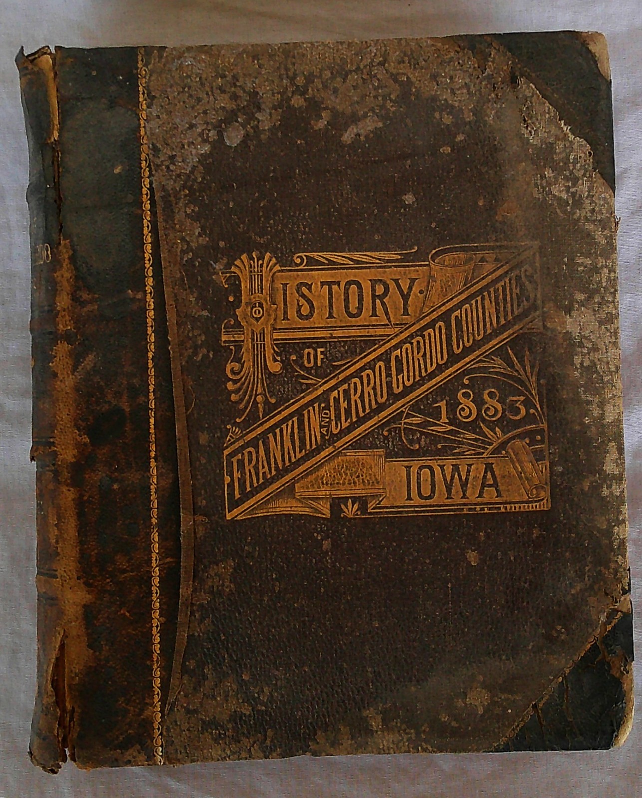 History of Franklin and Cerro Gordo Counties Iowa – Illustrated 1883 HC