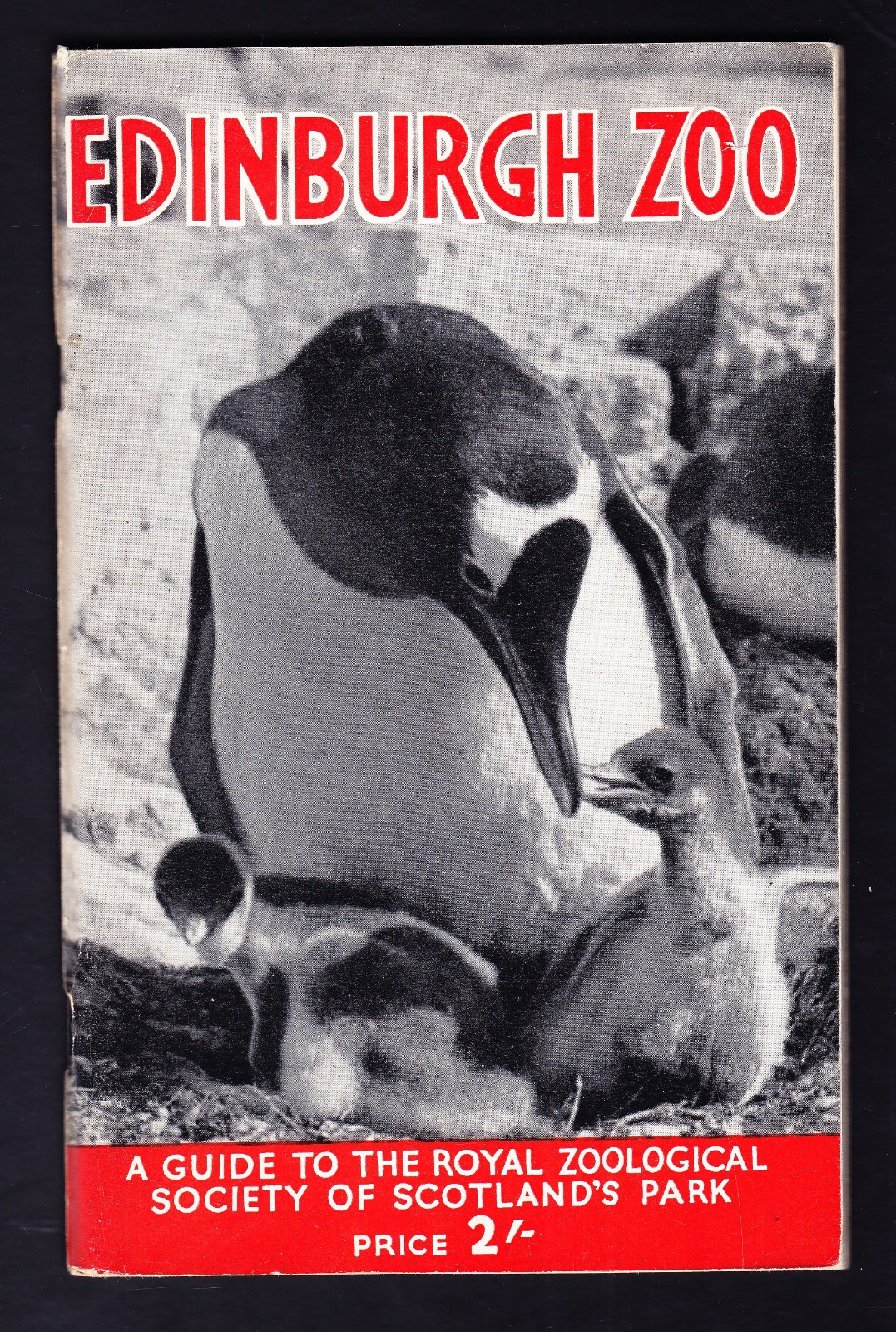 EDINBURGH ZOO c1958 Royal Zoological Park of Scotland Official Guide with Map