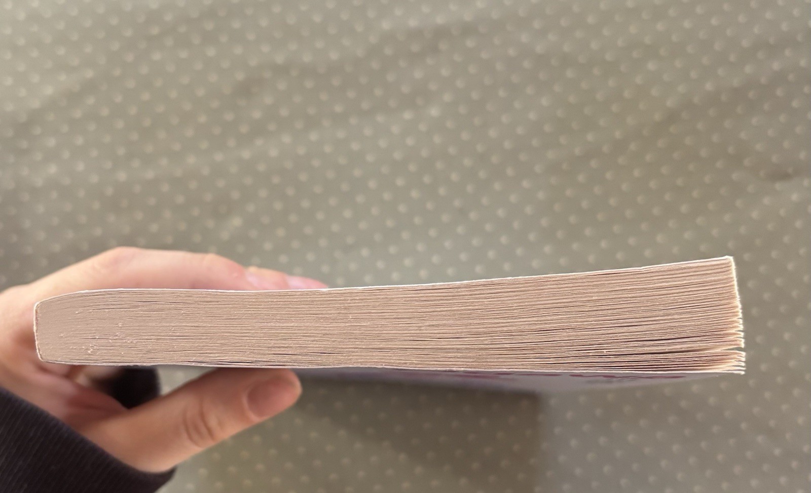 Hotel Iris Paperback (Translated) by Yoko Ogawa, trans. Stephen Snyder